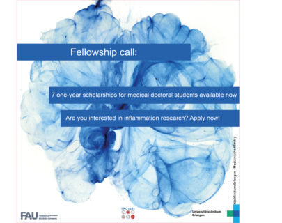 Towards entry "Fellowships for medicine students available"